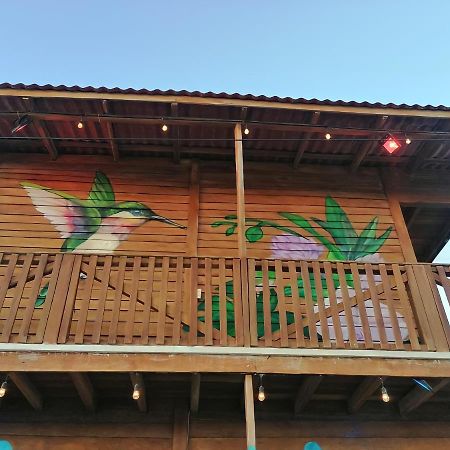 埃尔库约Cabana Colibri A 50 Metros De La Playa公寓 外观 照片