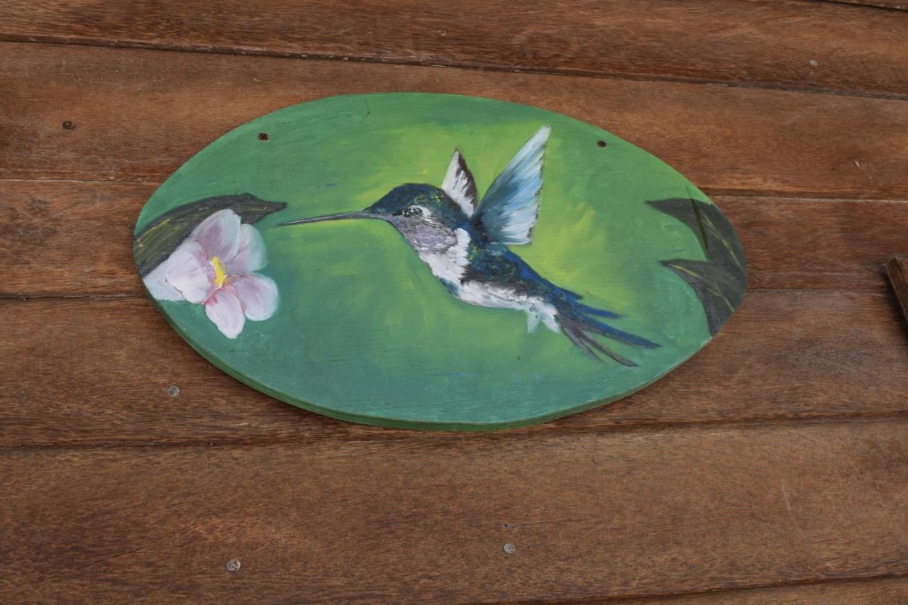 埃尔库约Cabana Colibri A 50 Metros De La Playa公寓 外观 照片