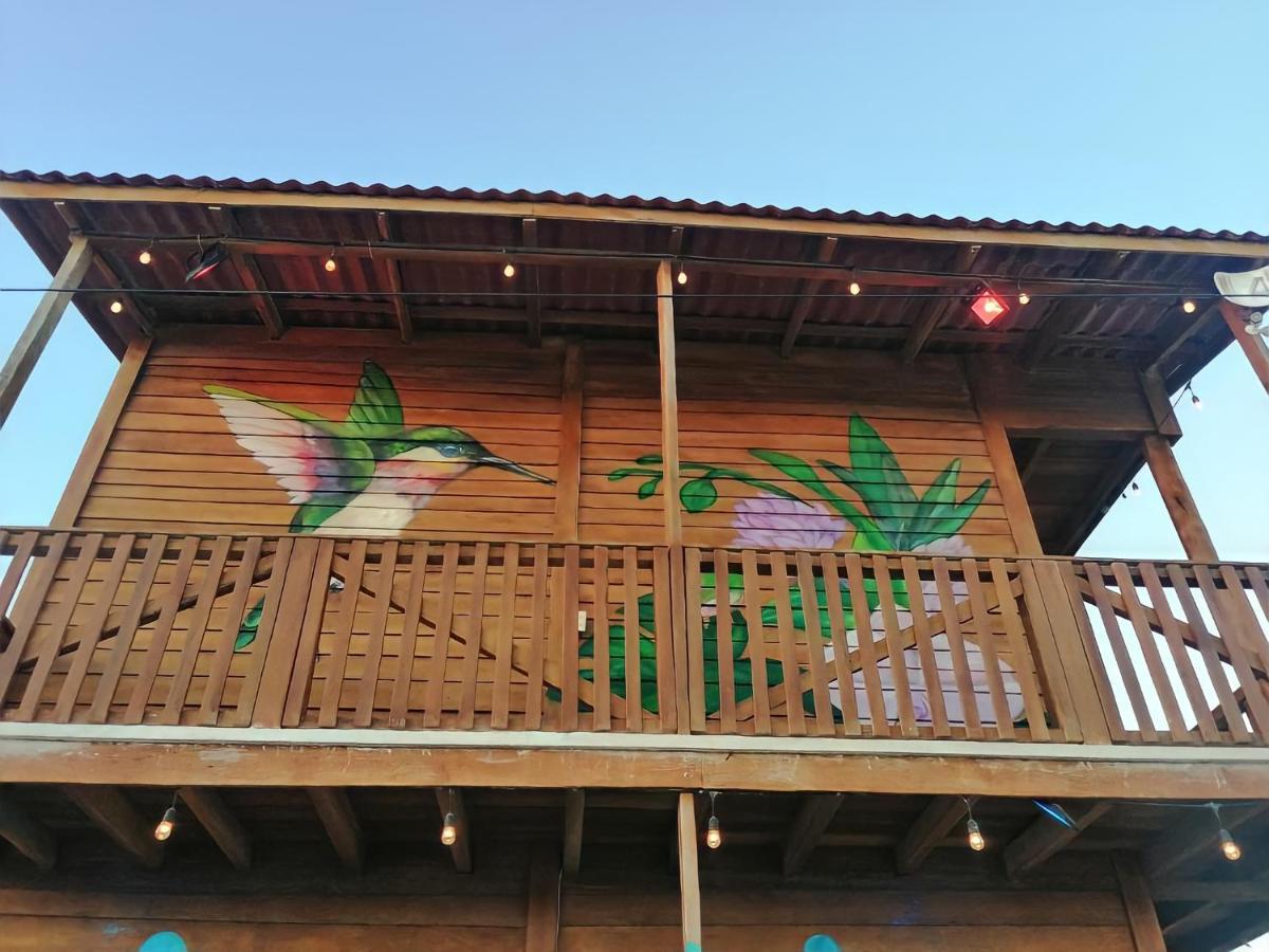 埃尔库约Cabana Colibri A 50 Metros De La Playa公寓 外观 照片